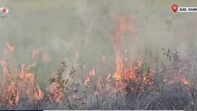 VIDEO Un vârtej de foc a apărut pe un câmp, la puțin timp după un incendiu. Pompierii consideră că focul a fost lăsat nesupravegheat